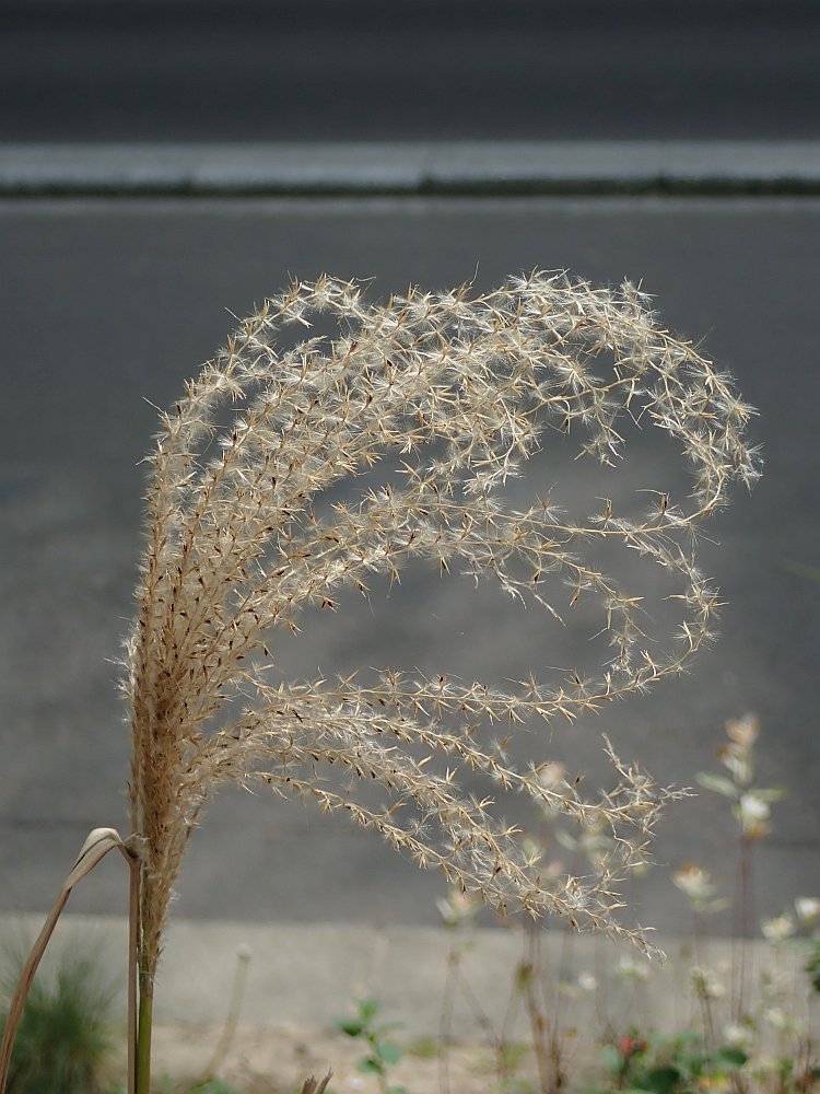 Bild/Foto