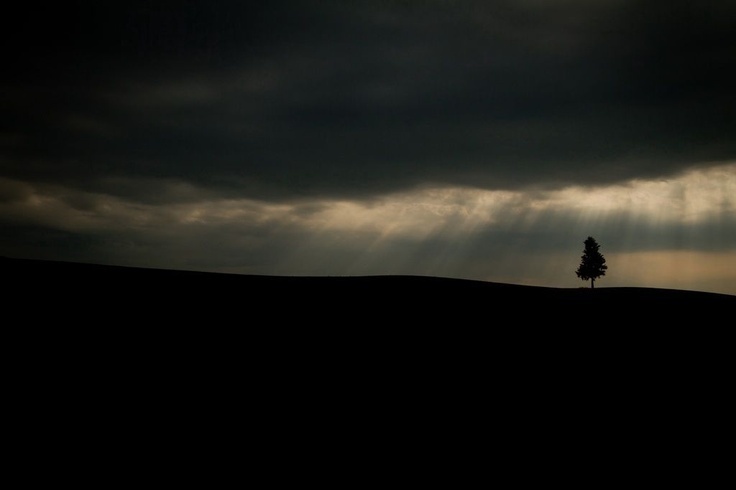 Image/photo