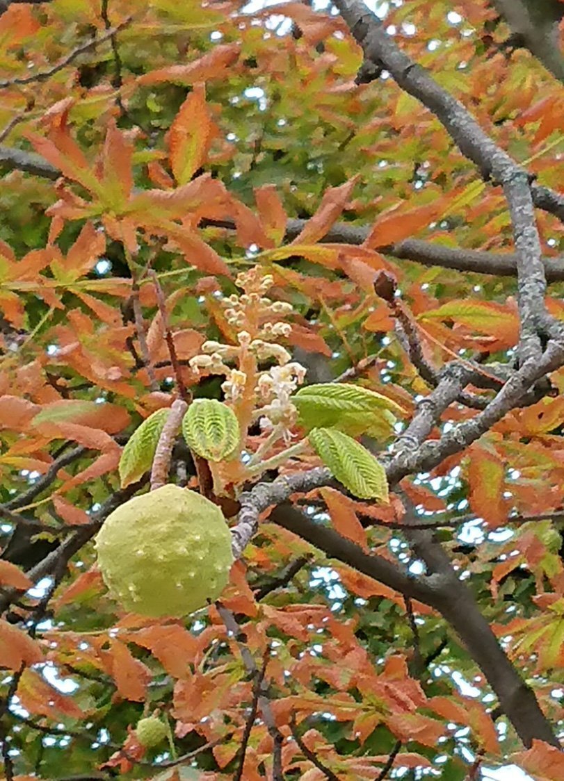 Bild/Foto