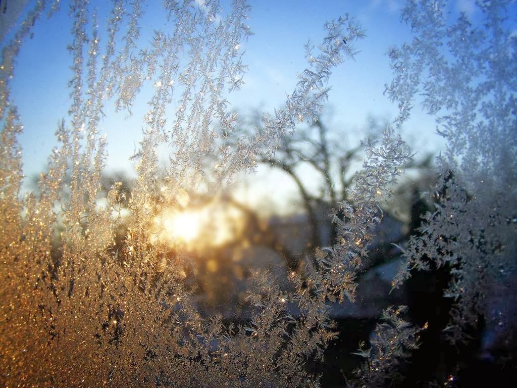 Свежий морозный воздух. Морозный воздух. Иней на окне. Морозные узоры на стекле. Морозное окно.