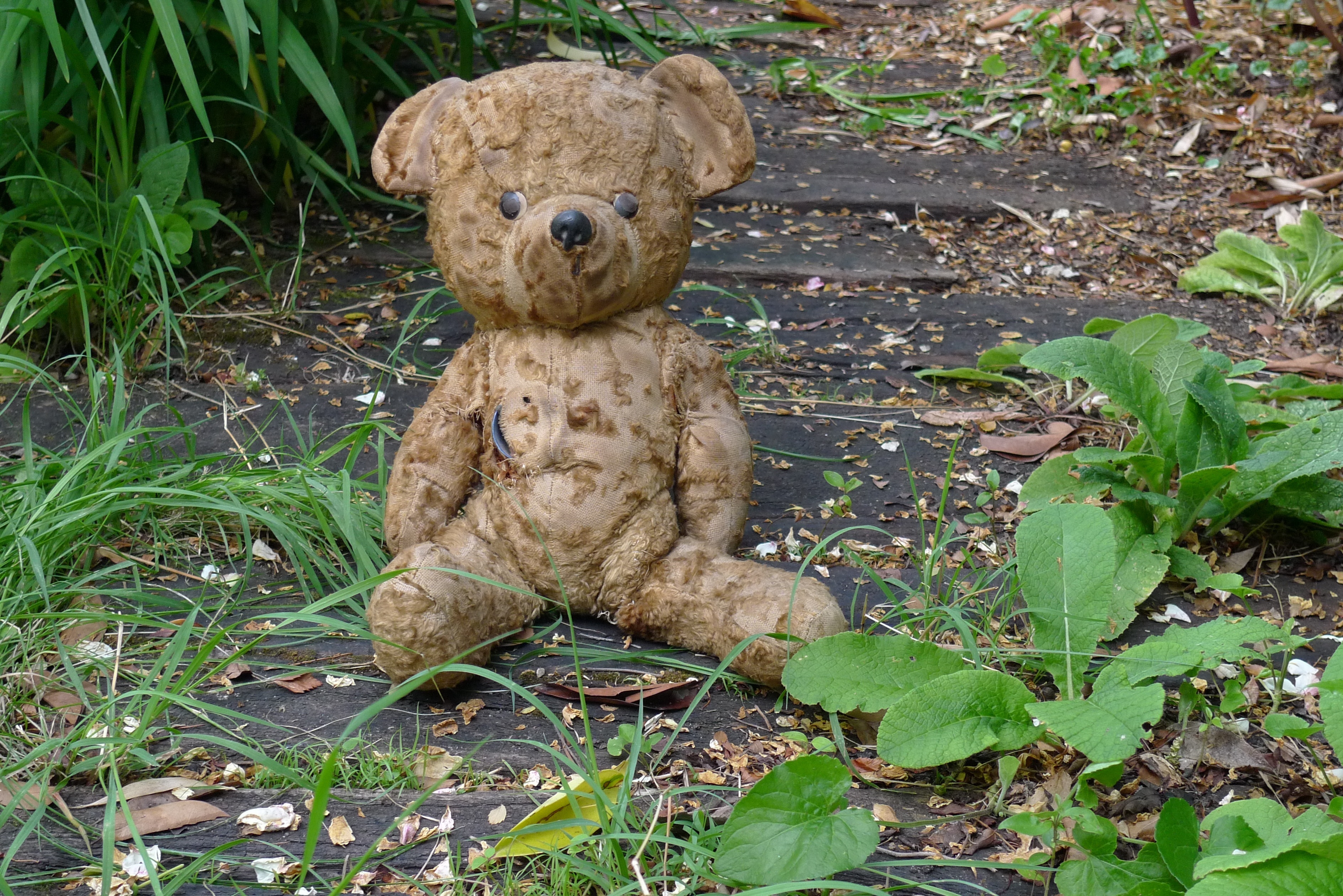 плюшевый мишка старинный. плюшевый мишка белый. старинный мишка. тедди беар. плюшевые игрушки.