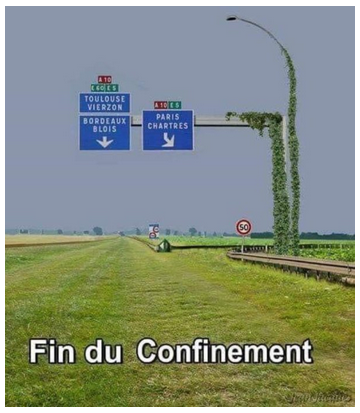Bild/Foto