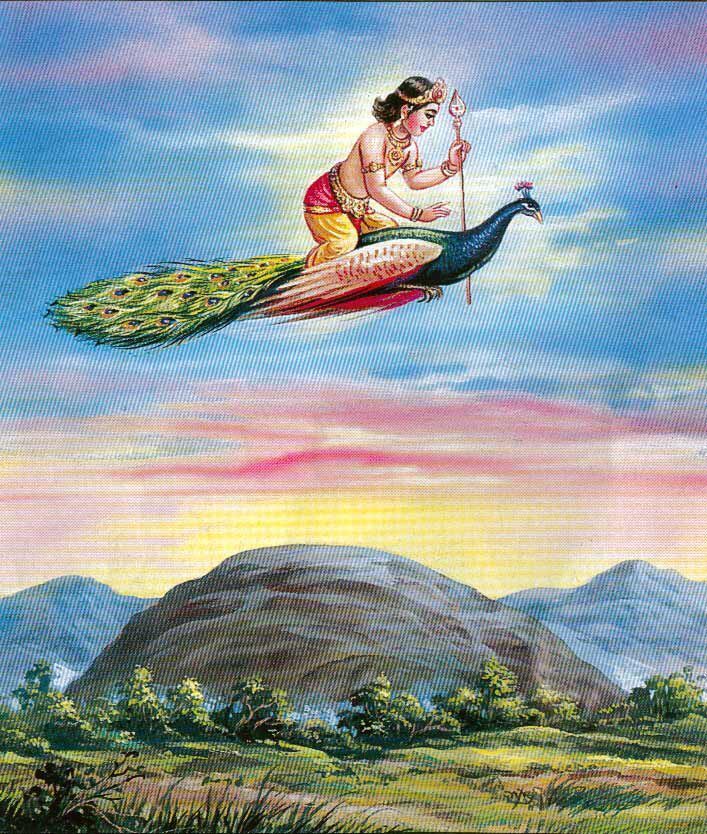 Citation Spiritualite Foi Vous N Etes Pas Ne Pour Mourir Vous E