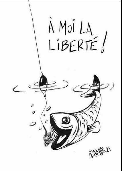 Entrer une description pour l'image ici